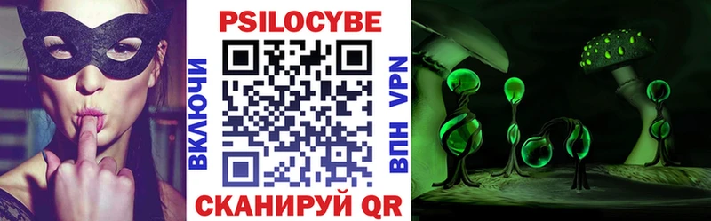 Галлюциногенные грибы Psilocybine cubensis  Купить закладки  Александровское 